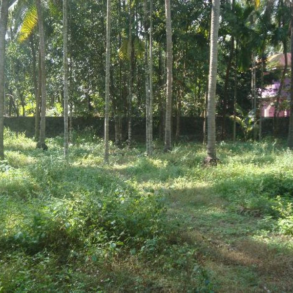 Residential Land for Sale in Thiruvaniyoor, , Ernakulam, Kerala